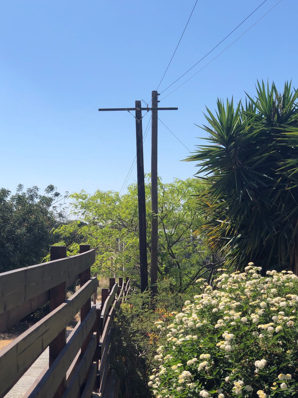 Living the Dream 99. High Speed Internet