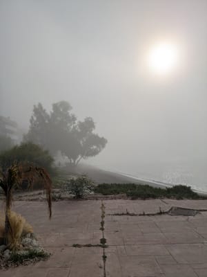 The Digest (s) 08/06 and 15/06 -2025