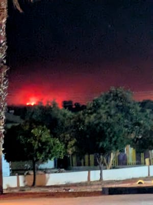 The Digest 03/08/2025